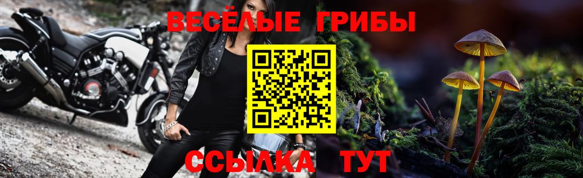 Галлюциногенные грибы ЛСД Сухой Лог