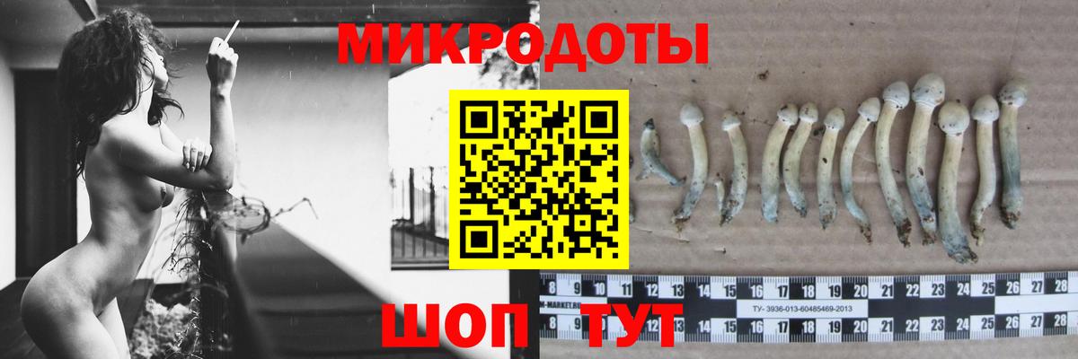 Сухой Лог  Галлюциногенные грибы прущие грибы  Вход с VPN  наркошоп  Галлюциногенные грибы ЛСД 